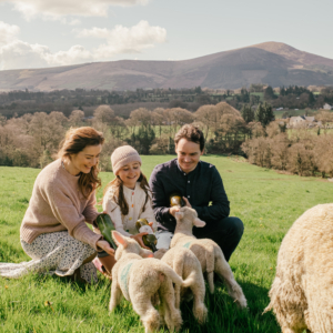 Eriu Woolen Blankets, Sweaters, Hats & More